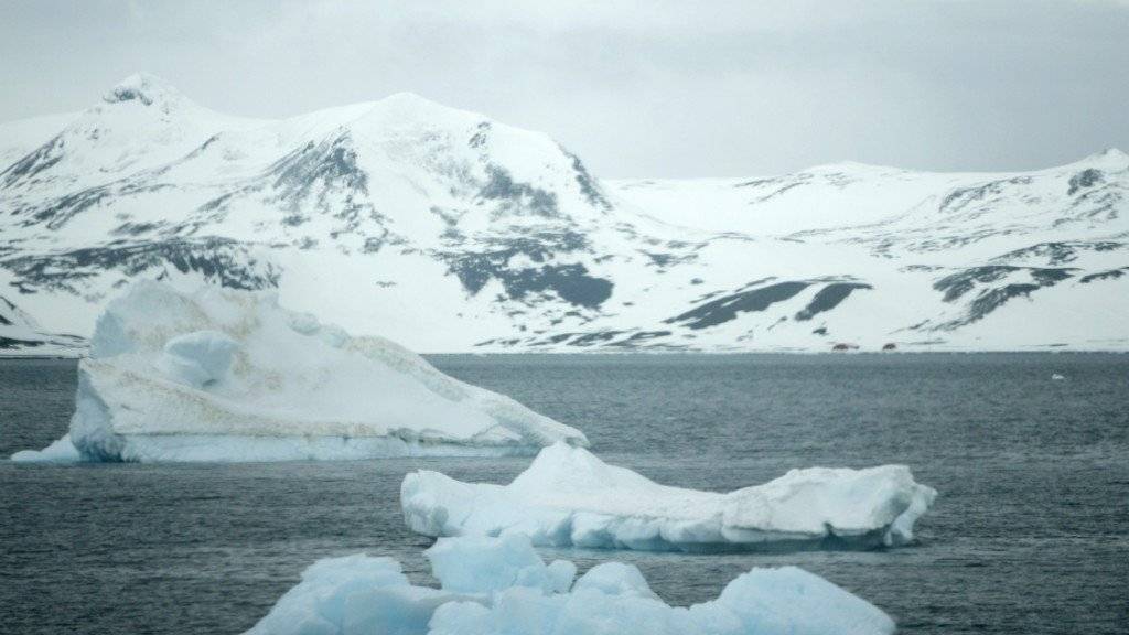 Die Tiefsee in den Polarregionen hatte vor 100 Millionen Jahren wohl keine deutlich wärmere Temperatur als heute. Die bisher angenommene Wärmeperiode könnte somit gar nicht existiert haben. (Archivbild)