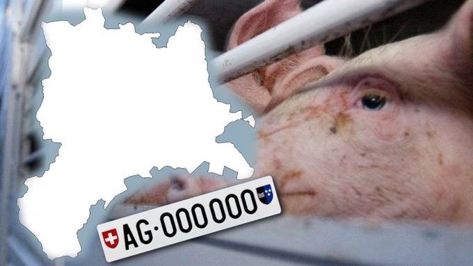Mehr Einwohner als Schweine: Kurioses über den Kanton Luzern