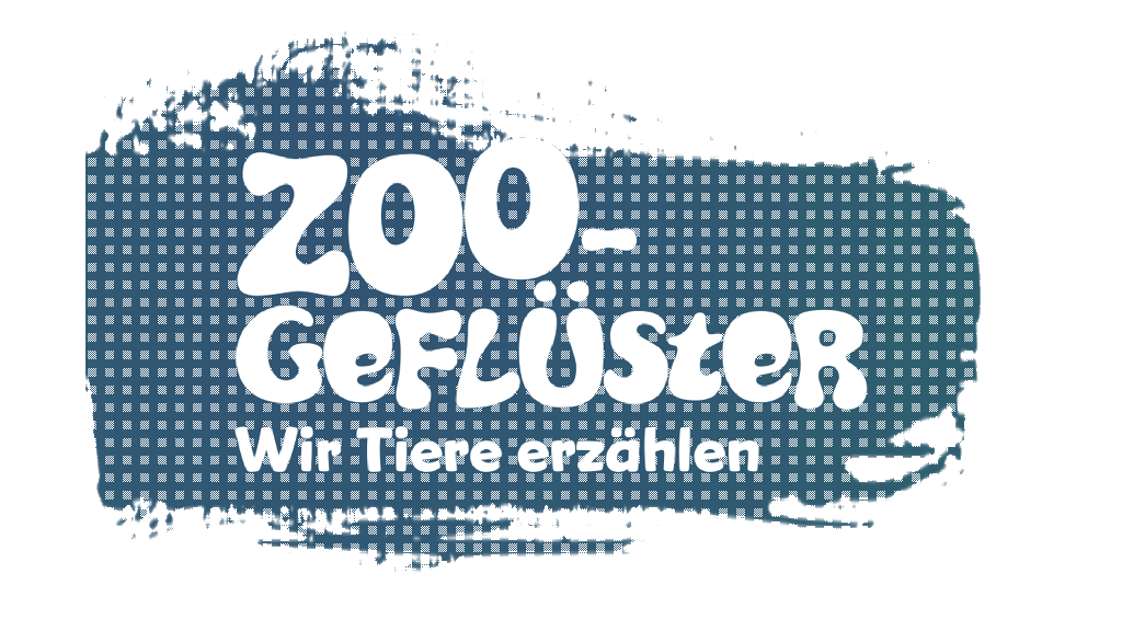 Zoogeflüster 