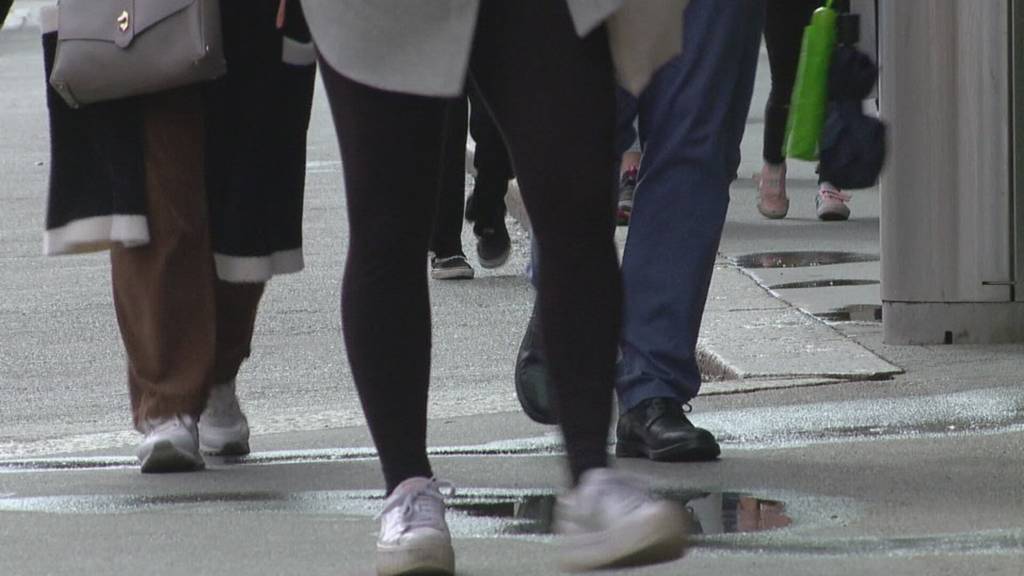 Debatte um «10-Millionen-Schweiz» im Nationalrat