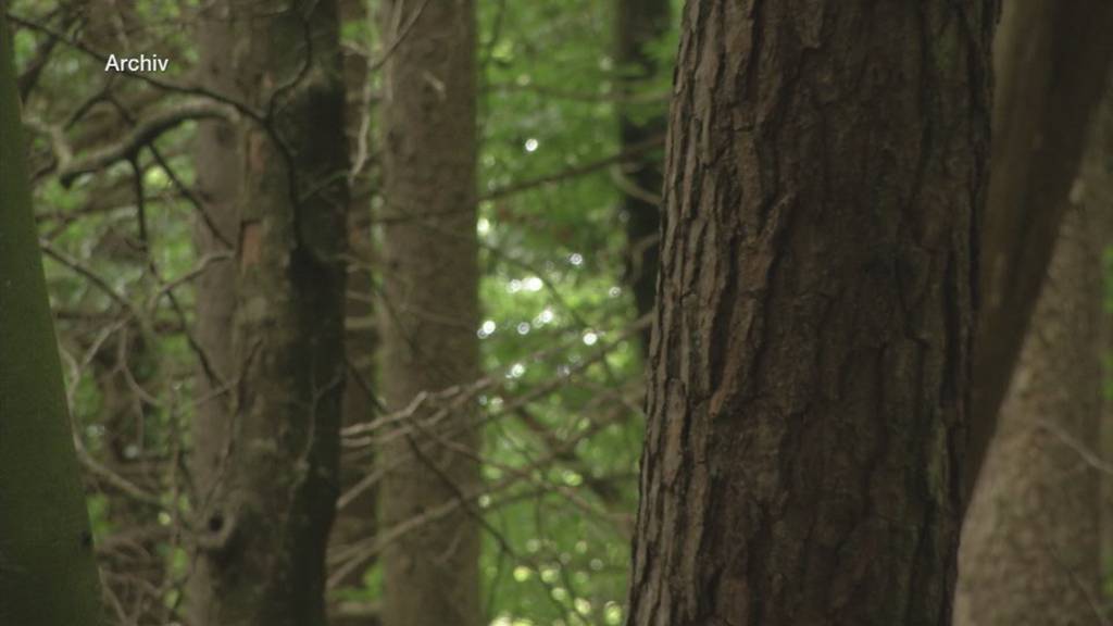 Thurgau kämpft gegen die Trockenheit