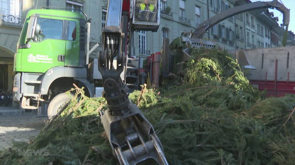 Trotz Wetterpech viele Besucher