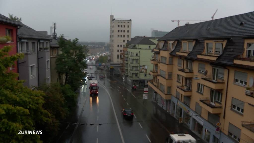 Keine Bewilligung für 50 Stunden verkehrsfreie Hardbrücke