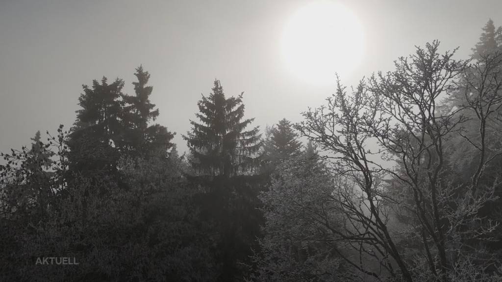 Nebelsuppe: Statt im Trüben zu sitzen, suchen wir die Sonne