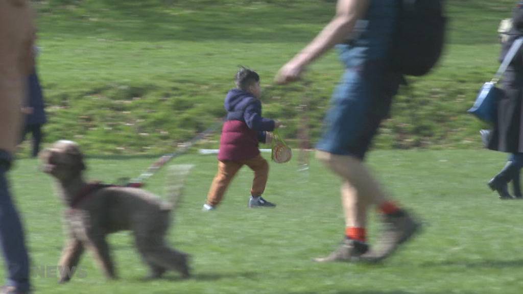 Das grosse Osterhasen-Suchen auf dem Gurten