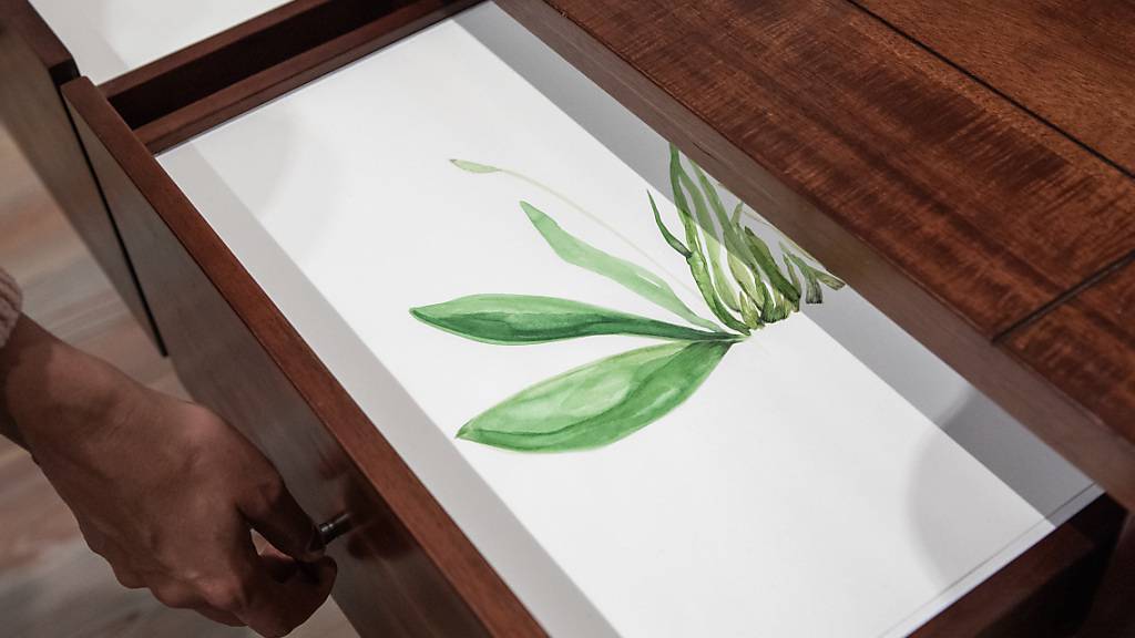 In ihrer Installation «You will find new framing in crafts of old» hat Temitao Ogumbiyi im Museum Tinguely filigrane Zeichnungen und Aquarelle in Brockenhausmöbel gesteckt.