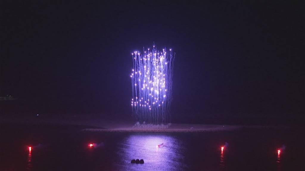 Silvesterfeuerwerk in der Kritik