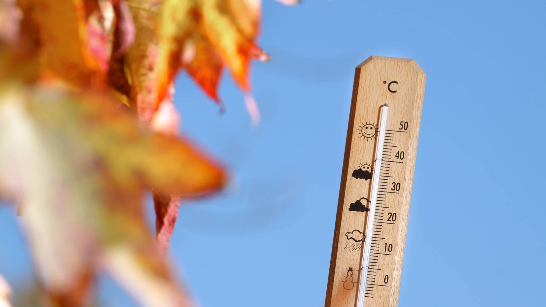 Wetter Herbst Laub Thermometer