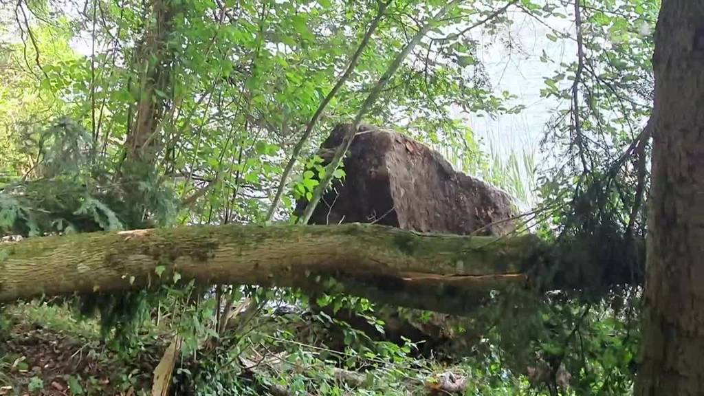 Sprengungen nach Felssturz am Ägerisee nötig