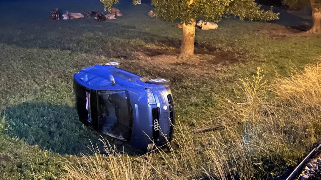 Die Luzerner Polizei rückte am Montagmorgen zu einem Unfall in Dagmersellen LU aus.