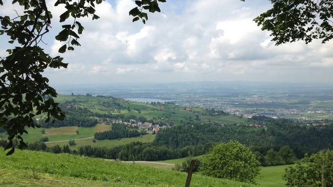 Zug hat letztes Jahr 12 Hektaren überbaut