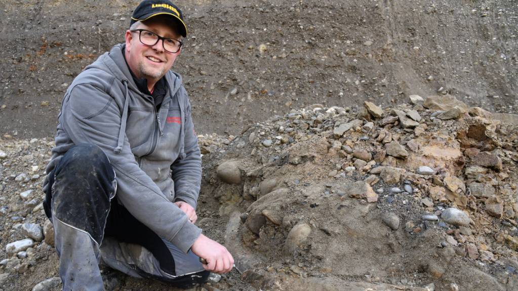Noch ist der Fund nicht freigelegt: Finder Stefan Bitterli mit dem Mammutzahn in der Kiesgrube in Eschenbach LU.