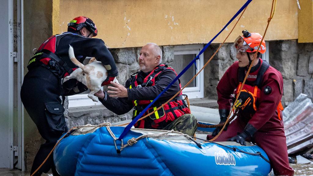 In der tschechischen Stadt Jesenik werden Leute und Tiere per Boot evakuiert.