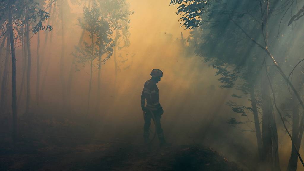 Bei Waldbränden in Portugal ist ein Feuerwehrmann ums Leben gekommen. Im laufenden Jahr sind damit bereits fünf Feuerwehrleute durch Brände getötet worden. (Archivbild)