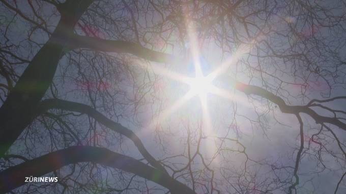 Frühlingserwachen in Zürich