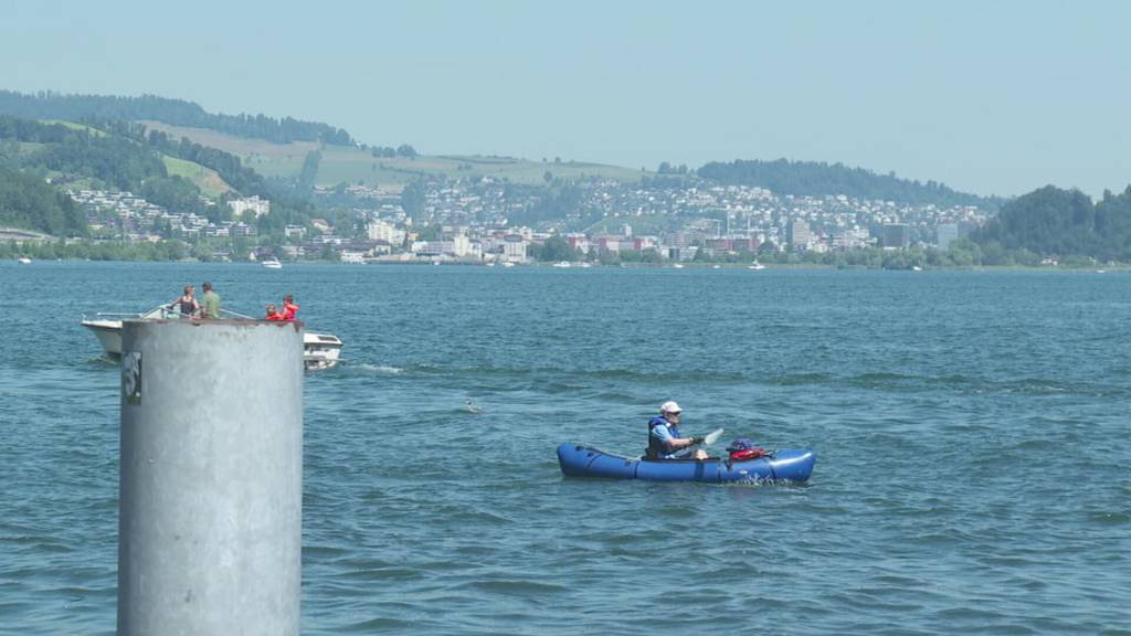 Invasive Arten in Gewässern