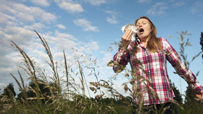 Kurze «Verschnaufpause» für Allergiker – dann fängt das Niesen wieder an