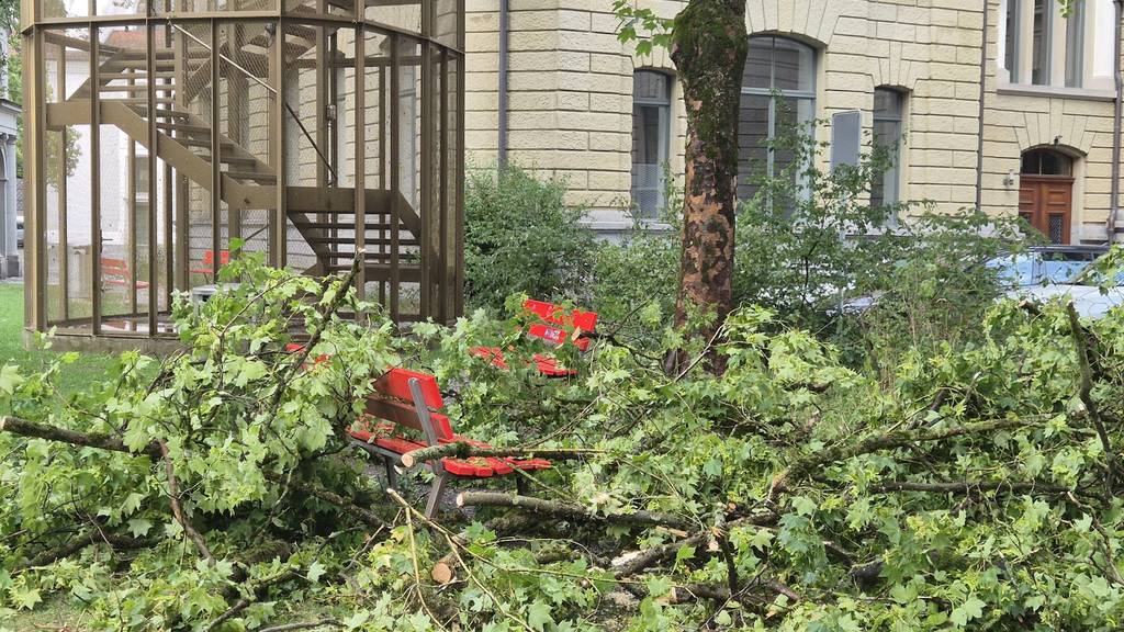 Gewitter in Luzern führte zu über 60 Notrufen – eine Person verletzt