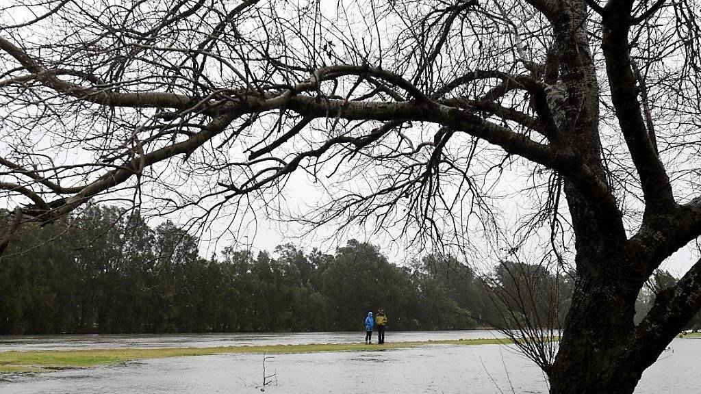 Auch am anderen Ende der Welt will der Regen nicht aufhören: Ein teilweise überfluteter Golfplatz in Sydney.