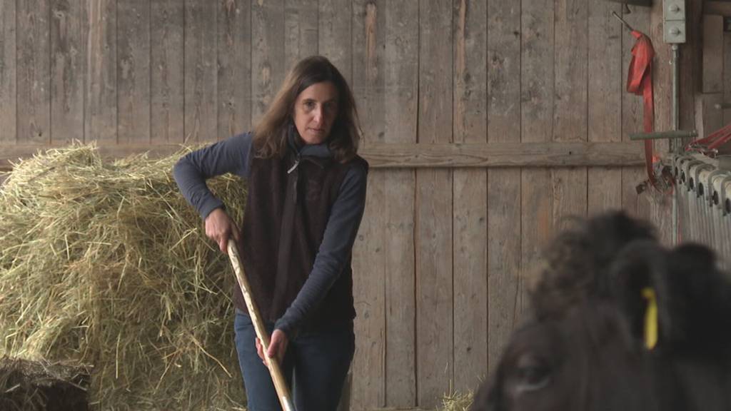 Streit um Direktzahlungen: Bund verlangt Mindestgrösse für Bauernhöfe