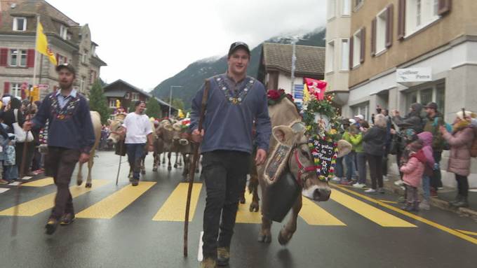 Traditioneller Alpabzug in Wassen