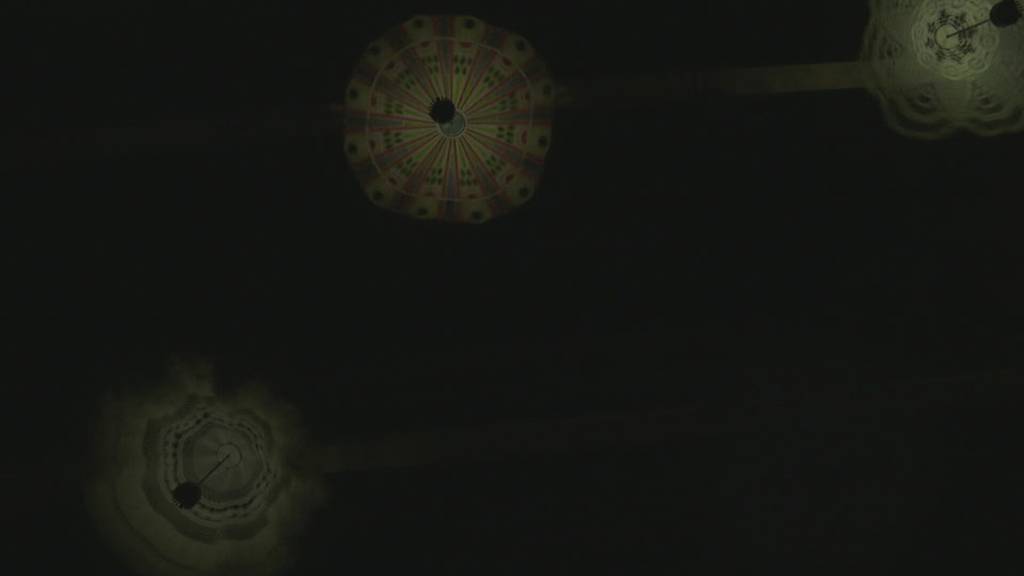 «Klang-Moor-Schopfe»: In Gais gibt es ein spezielles Kunsterlebnis