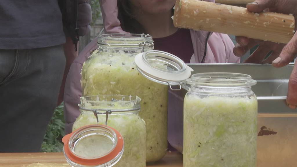 Lebendige Tradition: Sauerkraut stampfen in Stans