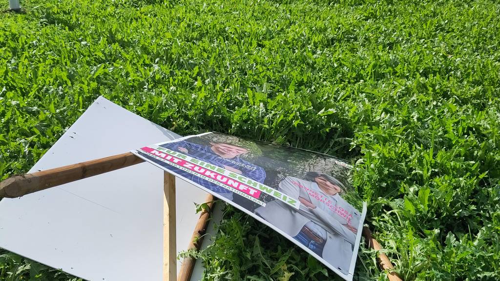 «Undemokratisch»: So reagieren die Parteien auf Vandalismus an Wahlplakaten