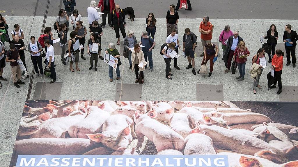 Plakat mit Mastschweinen bei der Lancierung der Volksinitiative gegen Massentierhaltung im Sommer 2018 auf dem Bundesplatz. (Archivbild)