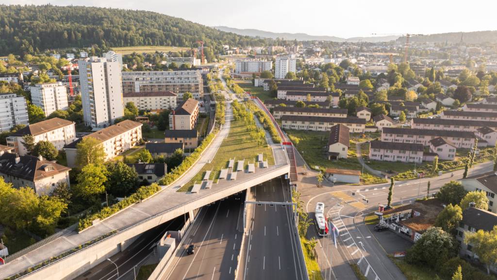 Binding-Preis für Biodiversität geht an Zürcher Ueberlandpark