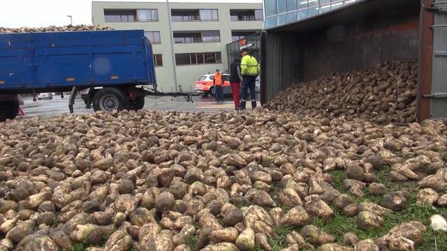 Rübentransporter verunfallt