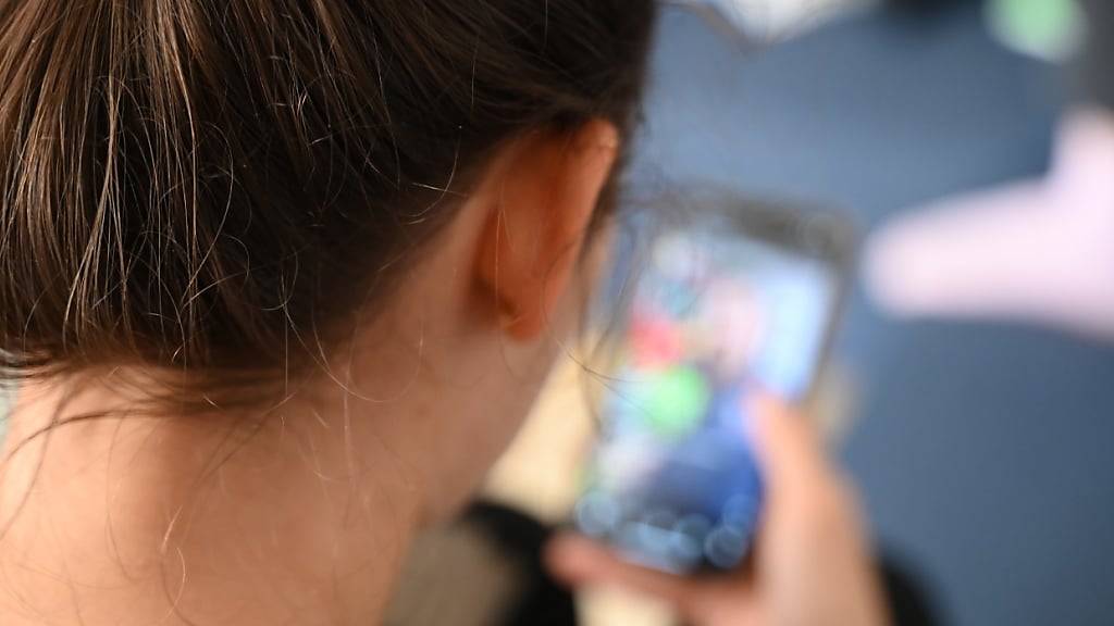 SYMBOLBILD - Eine Frau öffnet auf ihrem Smartphone einen Ordner mit Apps verschiedener sozialer Medien. Foto: Niklas Graeber/dpa