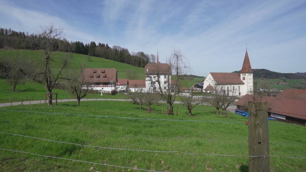 Schloss Pfyffer kommt in neue Hände