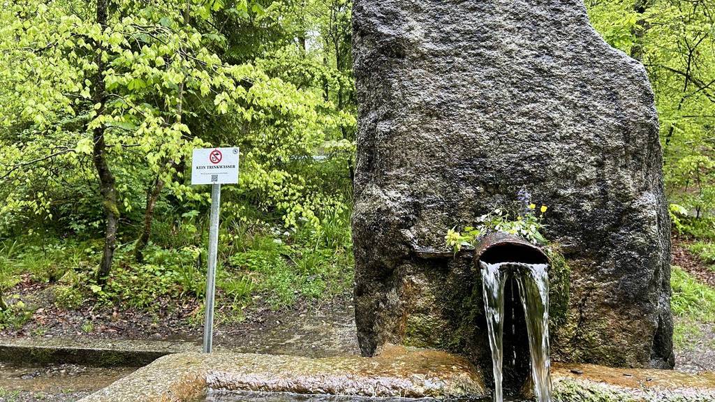 Glasbrunnen-Wasser im Bremgartenwald soll nicht mehr getrunken werden