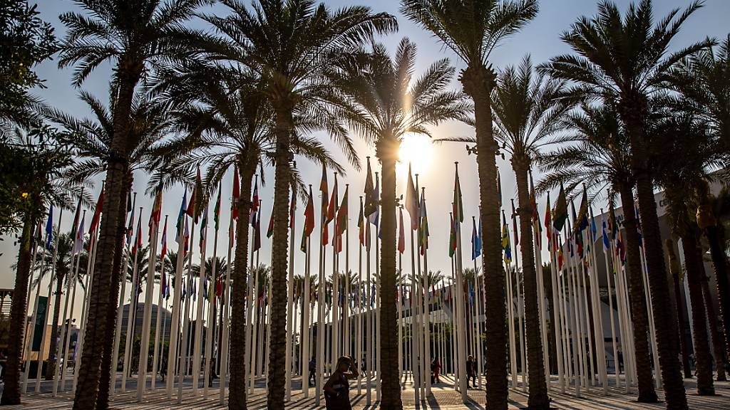Bei der derzeit laufenden Weltklimakonferenz in Dubai geht es um die Einhaltung des 1,5-Grad-Ziels.