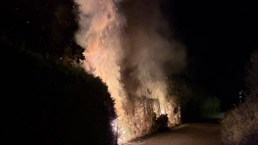 In Bollingen geriet am Freitagabend eine Hecke über mehrere Meter in Brand.