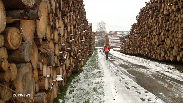 Zu viel Holz nach Sturm und Dürre