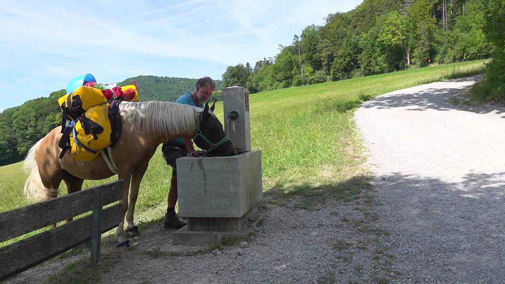 Nach langer Wanderschaft: Der Pferdewanderer ist wieder auf dem Heimweg