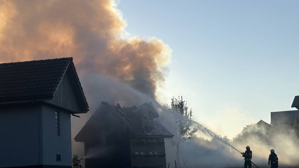 Die Feuerwehr löschte in Benken SG den Brand eines Bienenhauses.