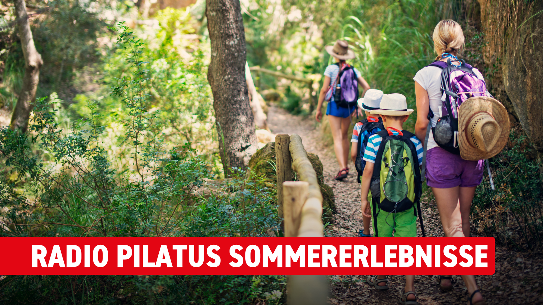 Pilatus Sommererlebnisse