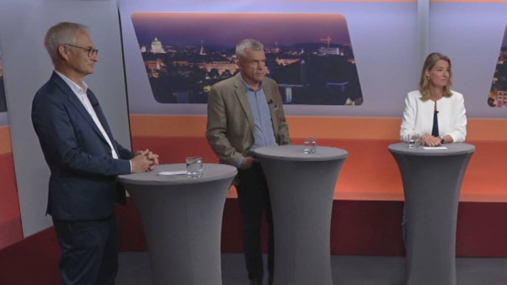 AHV, Energie, Zuwanderung und EU: Diese Positionen vertreten die Kandidierenden