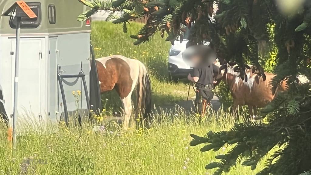 Nachbarn und Vermieter sahen das Tierdrama kommen