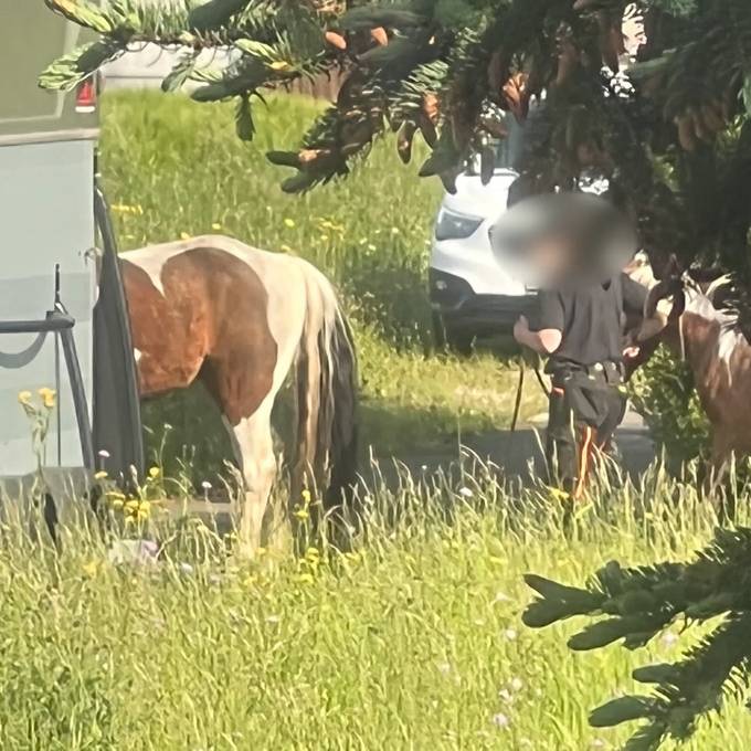 Nachbar zum Tierquälerei-Fall: «Pferde wurden nicht gut gehalten» 