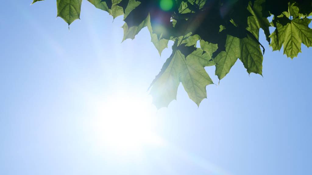 Die frühsommerlichen Wetterbedingungen haben in der Zentralschweiz zu hohen Ozonbelastungen geführt. (Symbolbild)