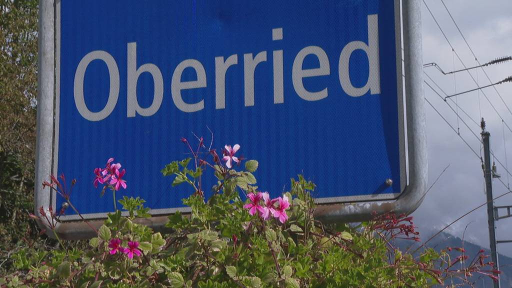 Politik-Mangel in Oberried