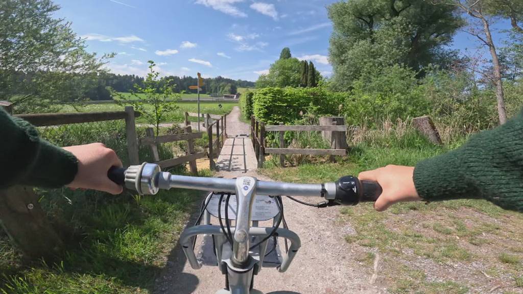 Neues Verkehrssystem am Sempachersee