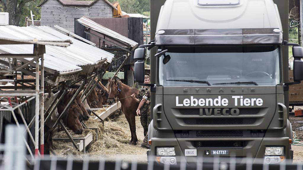 Am 8. August 2017 transportierte die Armee die Pferde vom Hof in Hefenhofen ab. (Archivbild)