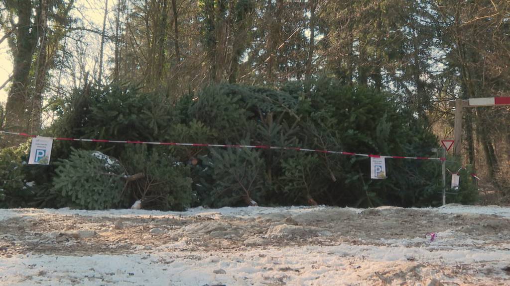 Vom Wohnzimmer in den Tierpark