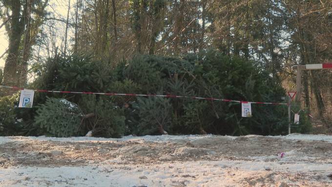 Vom Wohnzimmer in den Tierpark