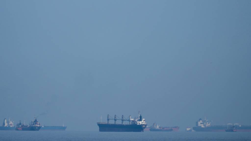 Öltanker und Frachtschiffe reihen sich in der Straße von Hormus auf, gesehen von Khor Fakkan. Die Bundesregierung fordert für die Straße von Hormus einen unbehinderten Schiffsverkehr auf Grundlage internationaler Abkommen. Foto: Altaf Qadri/AP/dpa